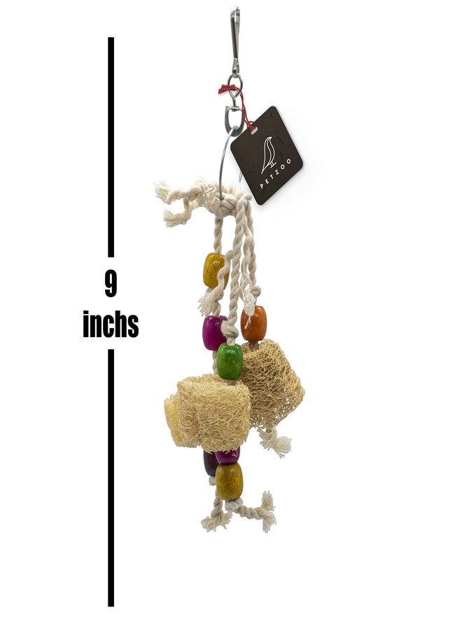 PETZOO Creative Chewable Mesh Hanging Toy for Birds, Macaw, African Grey, Parrot, Alexandrine, Budgies, Hamster Cage Accessories, Resting Toy & Wooden Training Aid for Bird & Parrots - Image 3